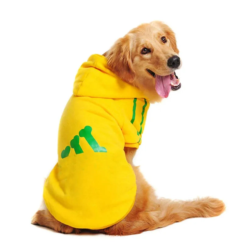 Autumn Dog Hoodies for Labradors