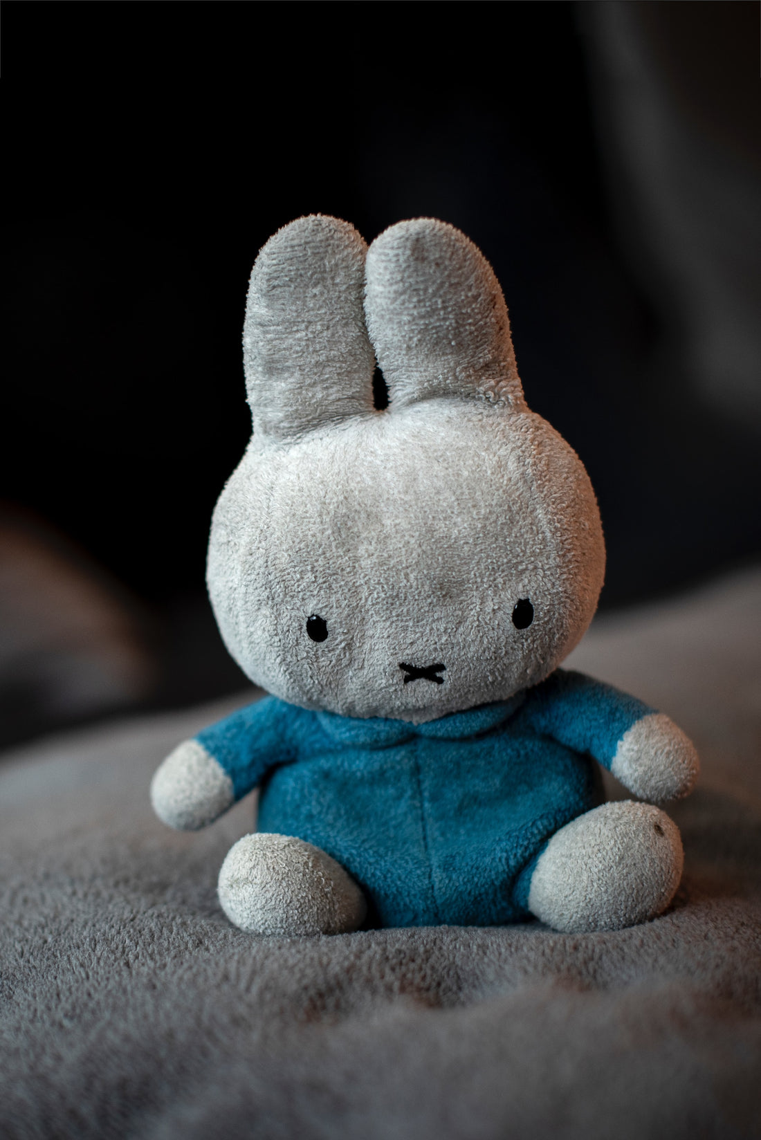 Plushies 101: A Beginner's Guide to Cuddly Bliss