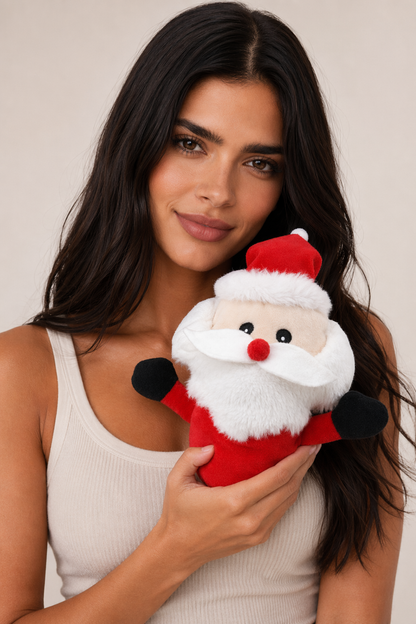 Adorable Reversible Santa Raccoon Plush A