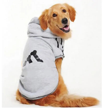 Autumn Dog Hoodies for Labradors