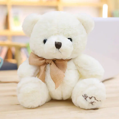Kawaii Teddy Bear, Perfect Valentine's Gift!